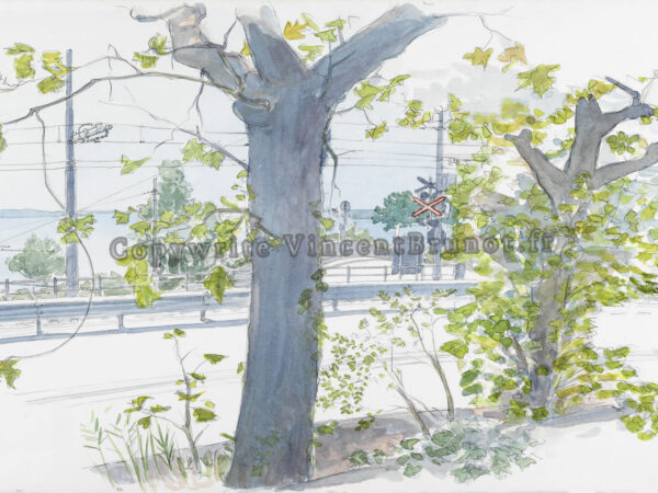 Le Tram d&rsquo;Opicina à l&rsquo;Obélisque