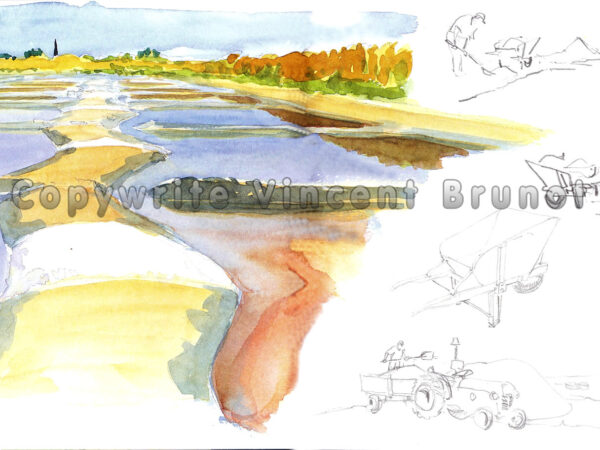 maraissallantetsaunier