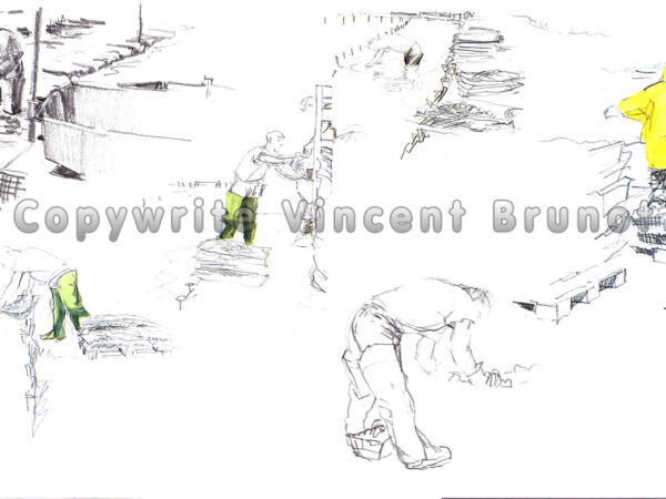 parcahuitresderivedoux