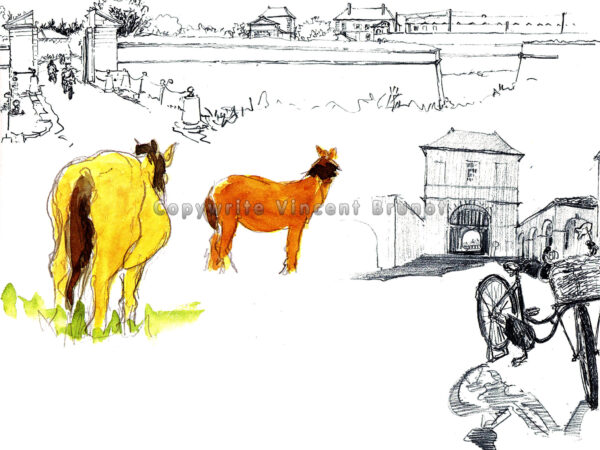 rempartsstmartinlesmulassieres