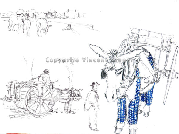 traditionretaiselaneculottelacherette