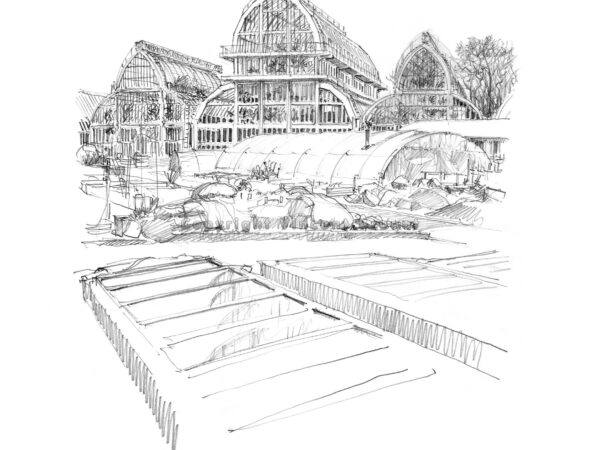 Lyon – 27a27786ok2000s