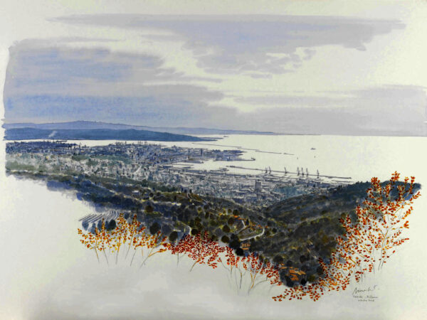 02VedutadiTriestedalcarso1