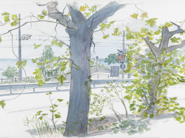 04IltramdiOpicinaallObelisco