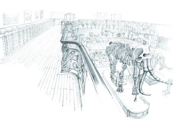 01 galerie de paléontologiesigne