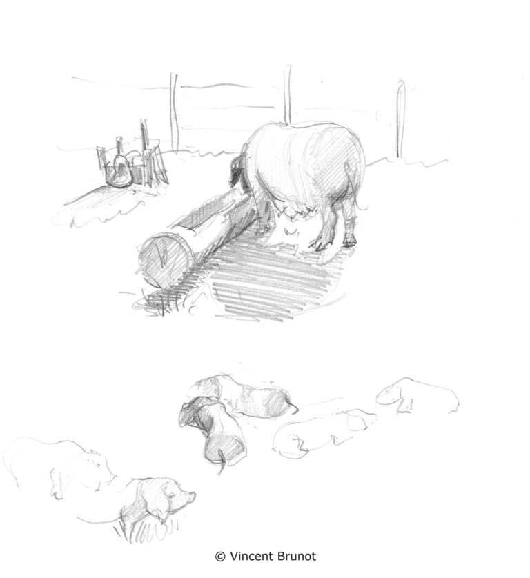 Cairn1, Pays Basque - Dessin de Vincent Brunot