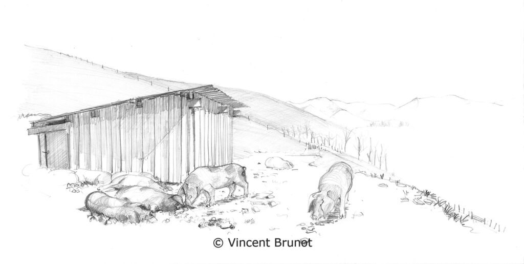 Cairn, Pays Basque - Dessin de Vincent Brunot