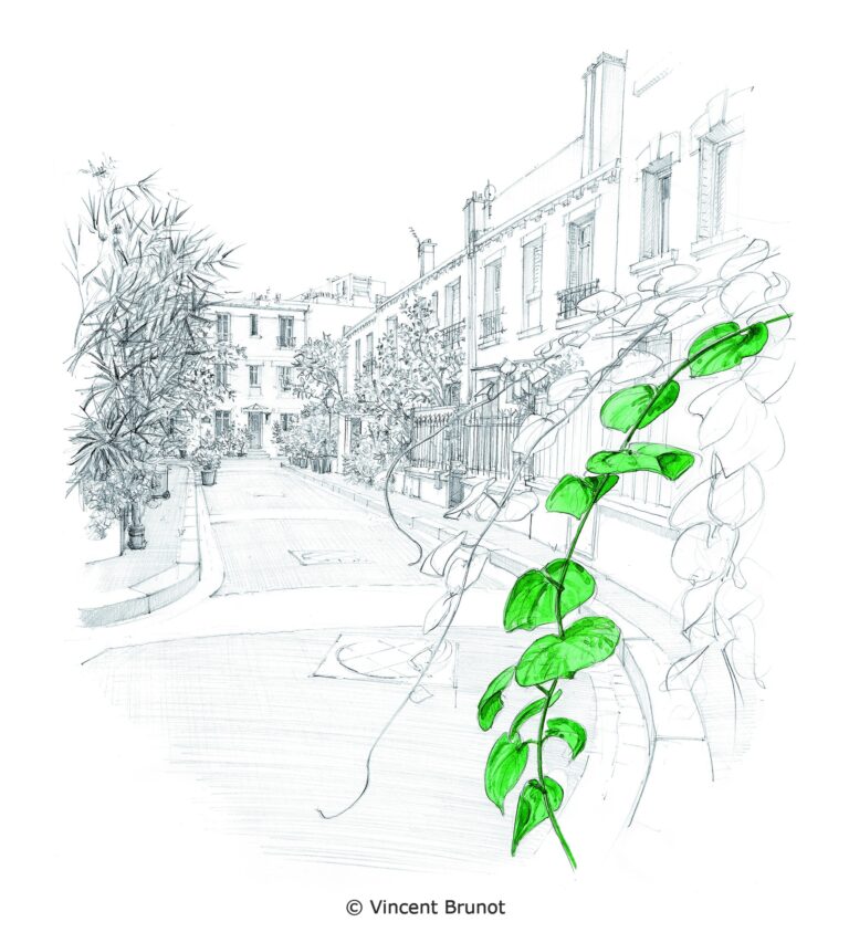 Cité florale, Paris - Dessin de Vincent Brunot
