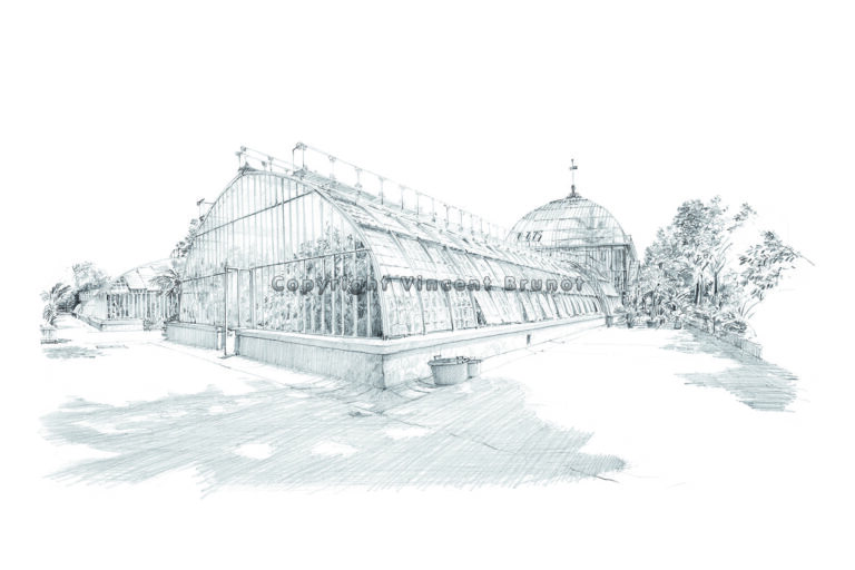 Serres d'Auteuil, Paris - Dessin de Vincent Brunot