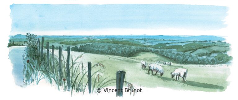 Cairn, Pays Basque - Dessin de Vincent Brunot