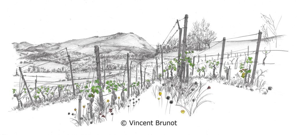 Cairn, Pays Basque - Dessin de Vincent Brunot