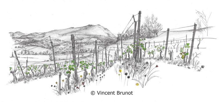 Cairn, Pays Basque - Dessin de Vincent Brunot