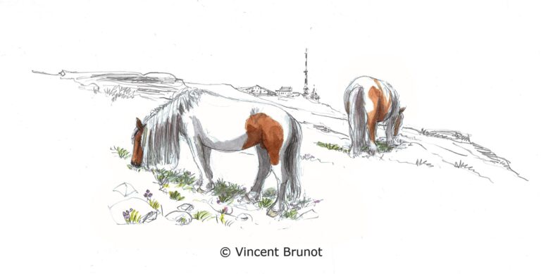 Cairn, Pays Basque - Dessin de Vincent Brunot