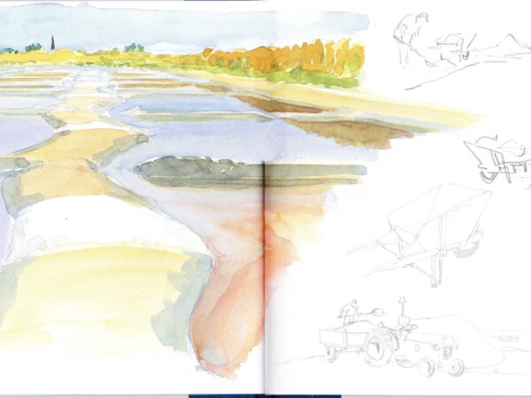 araissallantetsaunier