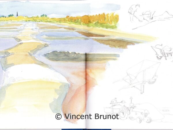 araissallantetsaunier