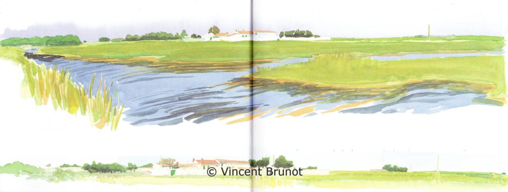 Domainededefend, Île de Ré - Dessin de Vincent Brunot