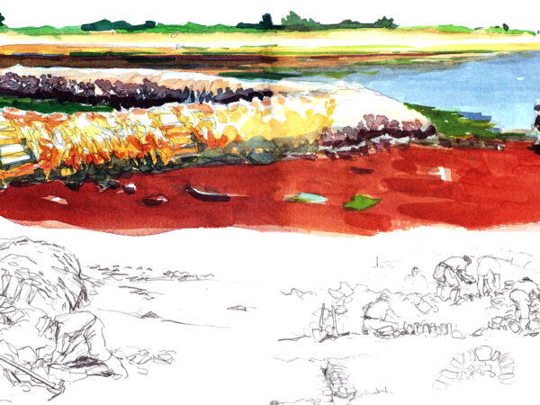 ecluseàpoissonaulargedesaintemarie