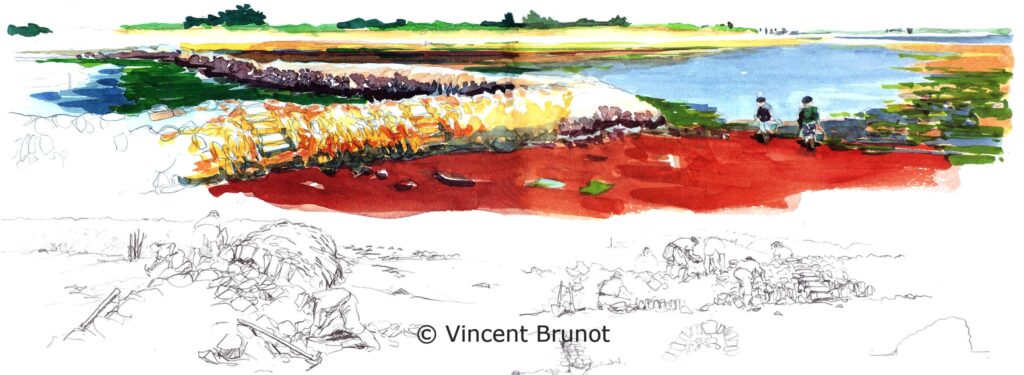Ecluseàpoissonaulargedesaintemarie, Île de Ré - Dessin de Vincent Brunot