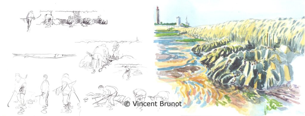 Ecluseapoissondemouffletpecheurs, Île de Ré - Dessin de Vincent Brunot