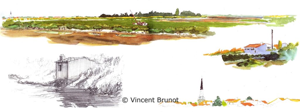 Fiersdars, Île de Ré - Dessin de Vincent Brunot