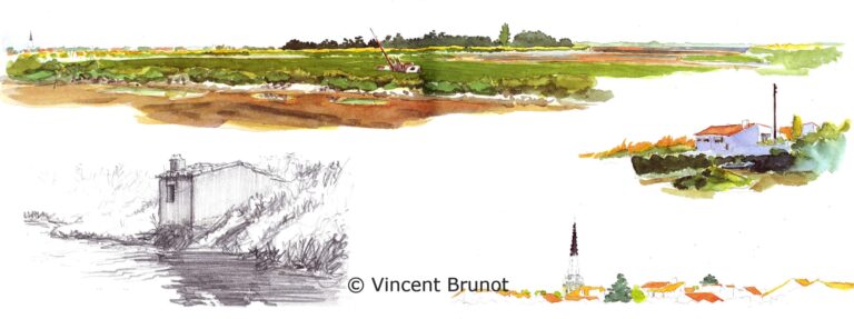 Fiersdars, Île de Ré - Dessin de Vincent Brunot