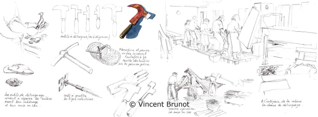 Lachaineetlesoutilsdedetroquage, Île de Ré - Dessin de Vincent Brunot