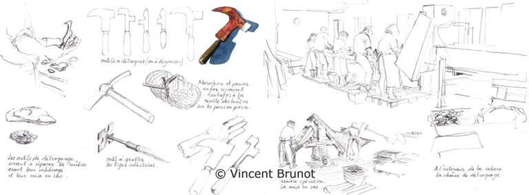 Lachaineetlesoutilsdedetroquage, Île de Ré - Dessin de Vincent Brunot