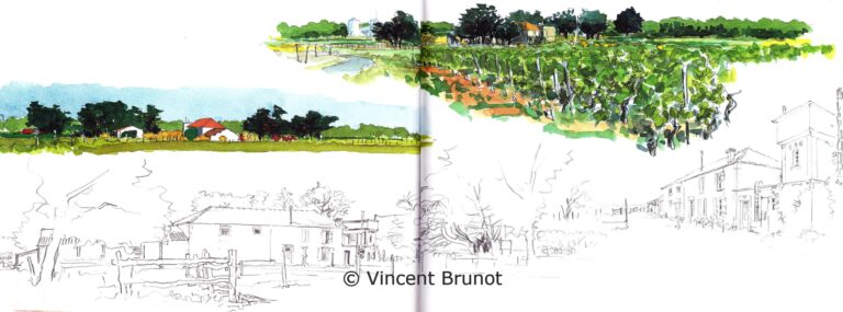 Lafermedesevieres, Île de Ré - Dessin de Vincent Brunot