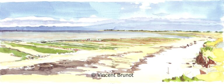 Laplagedesgrenettes, Île de Ré - Dessin de Vincent Brunot