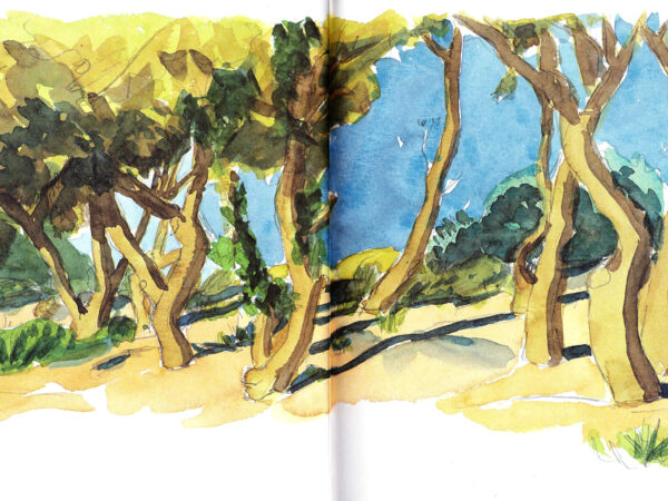 leschenesvertsdudefend