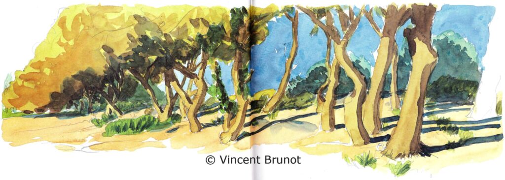 Leschenesvertsdudefend, Île de Ré - Dessin de Vincent Brunot