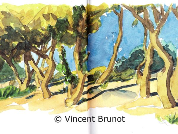 leschenesvertsdudefend