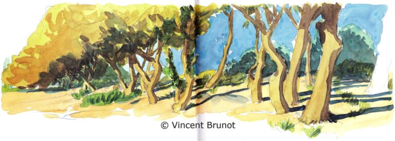 Leschenesvertsdudefend, Île de Ré - Dessin de Vincent Brunot