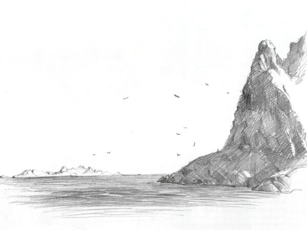 lesfalaisesdelilemaire