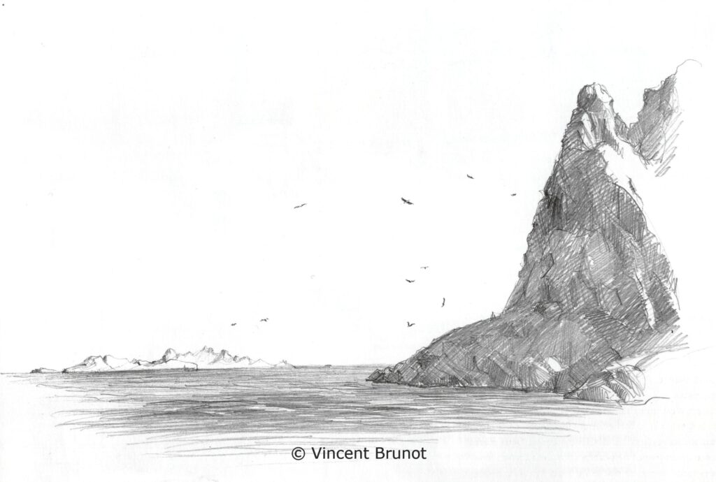 Lesfalaisesdelilemaire, Marseille - Dessin de Vincent Brunot