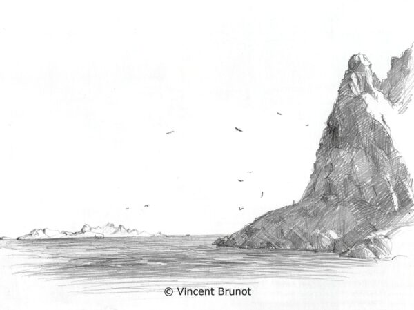 lesfalaisesdelilemaire