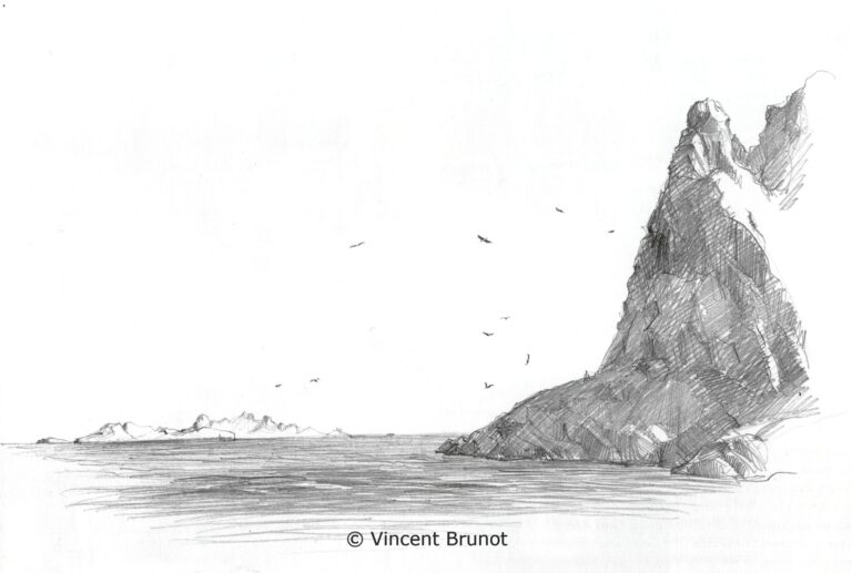 Lesfalaisesdelilemaire, Marseille - Dessin de Vincent Brunot