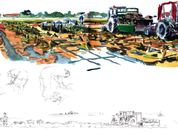 lesparcsahuitesalaflotte