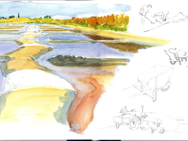 maraissallantetsaunier