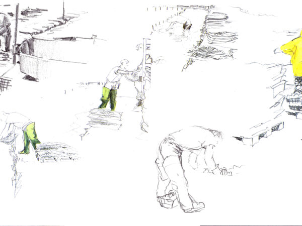 parcahuitresderivedoux