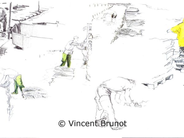 parcahuitresderivedoux