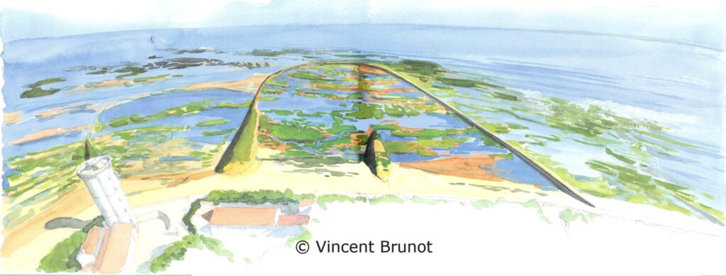 Pharedesbaleinevuedugrandeecluse, Île de Ré - Dessin de Vincent Brunot