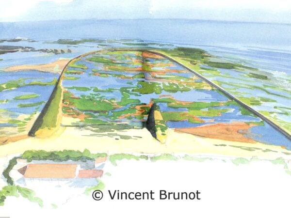 pharedesbaleinevuedugrandeecluse