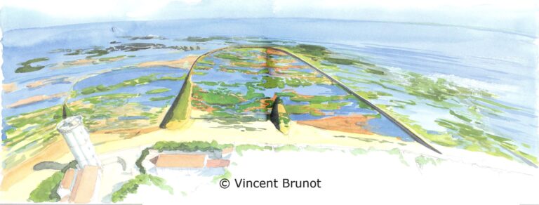 Pharedesbaleinevuedugrandeecluse, Île de Ré - Dessin de Vincent Brunot