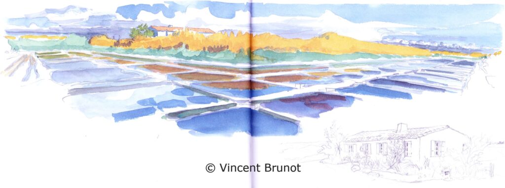 Presquileloixmareesalant, Île de Ré - Dessin de Vincent Brunot