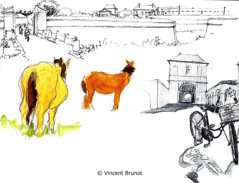 Rempartsstmartinlesmulassieres, Île de Ré - Dessin de Vincent Brunot
