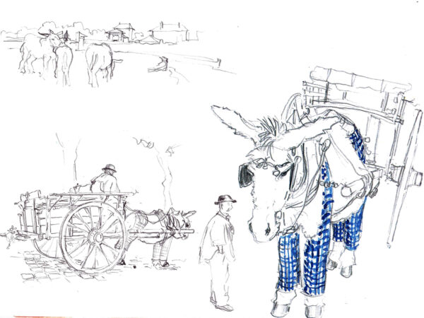 traditionretaiselaneculottelacherette